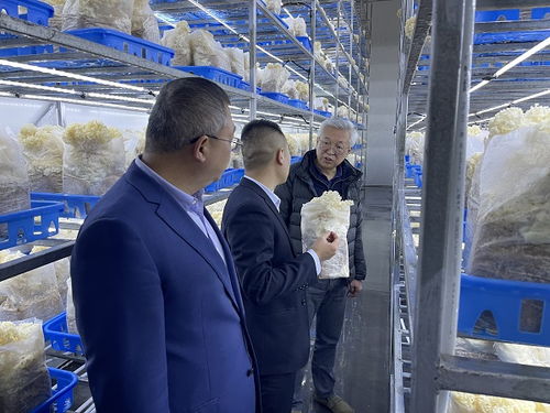 趙衛(wèi)深入商洛開(kāi)展企業(yè)管理咨詢調(diào)研，助力區(qū)域經(jīng)濟(jì)發(fā)展