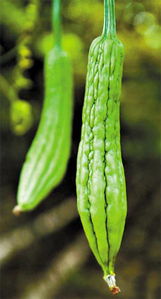 品味臺灣風情，臻享健康生活——北京璽盛商貿的臺灣美食與有機佳品